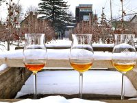 Ice Cider in Canada