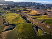 Mt Beautiful Vineyards