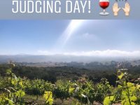 Lum Eisenman wine Contest Judging Day