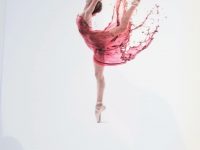 DANCIN Vineyards