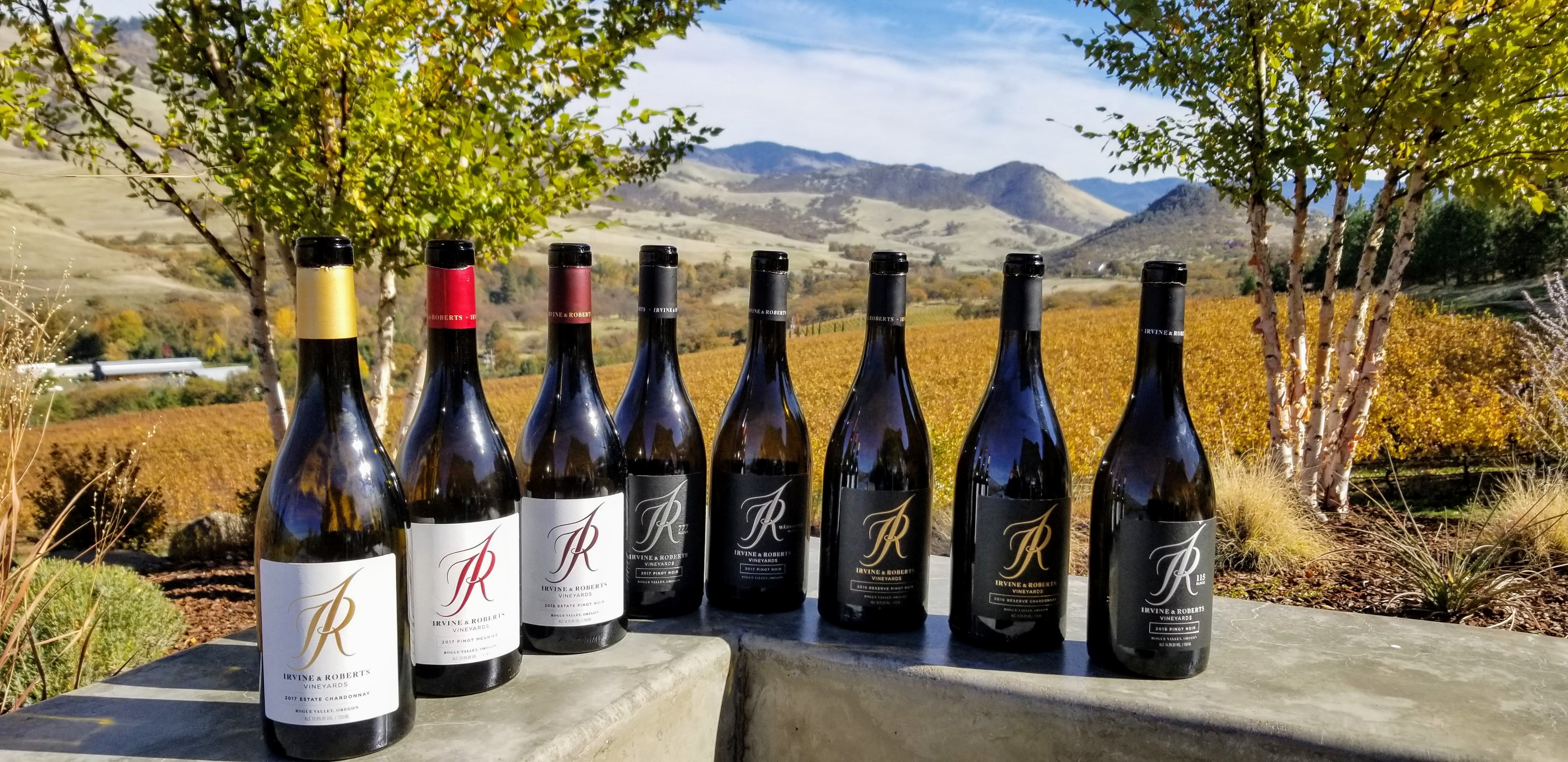 Pinot Noir Love at Irvine and Roberts Winery Robin DohrnSimpson