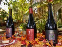 An afternoon with Petite Sirahs