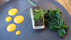 Local yellow tail, fresh kale and a white pepper emulsion.
