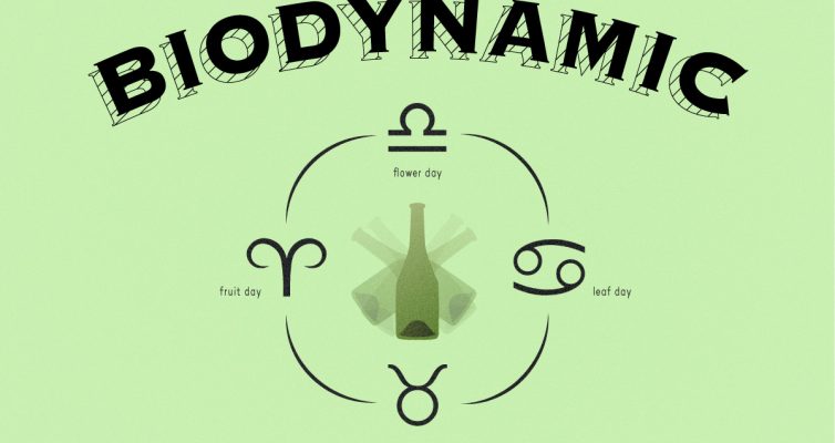 biodynamic-wine-guide