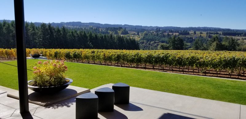 Relaxing in the wine country