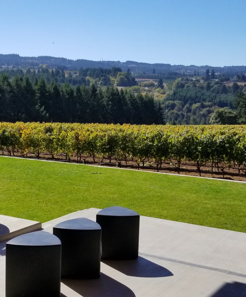 Relaxing in the wine country