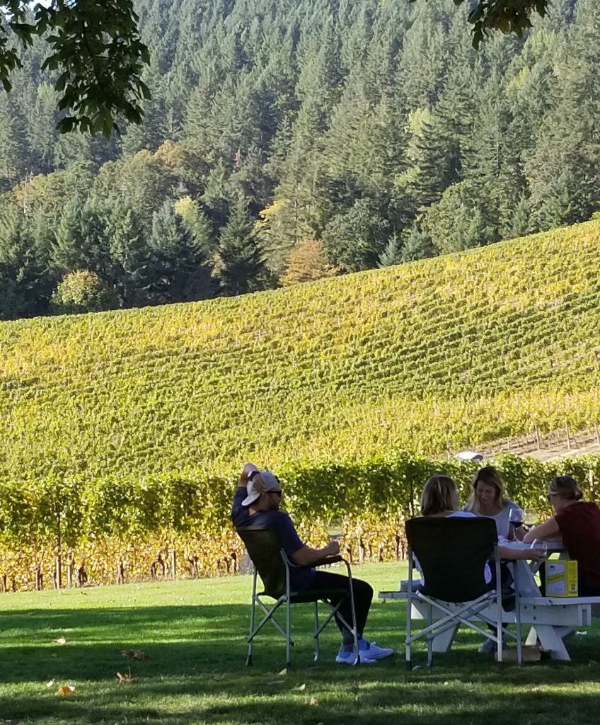 Oregon vineyards in the Fall