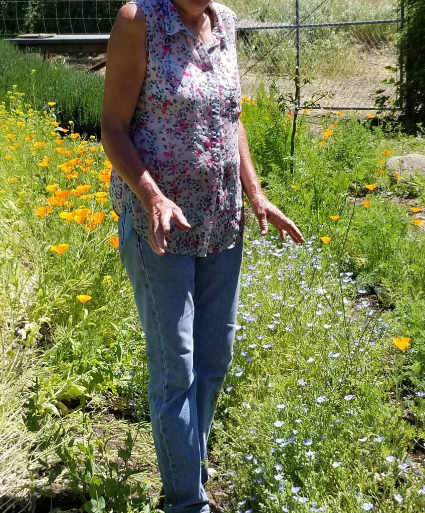 Master Gardener Diane Dovholuk