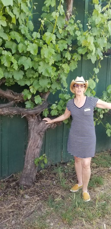 Salomé Garau-Taylor shows the giant grapevine that has grown up the side of the barn.