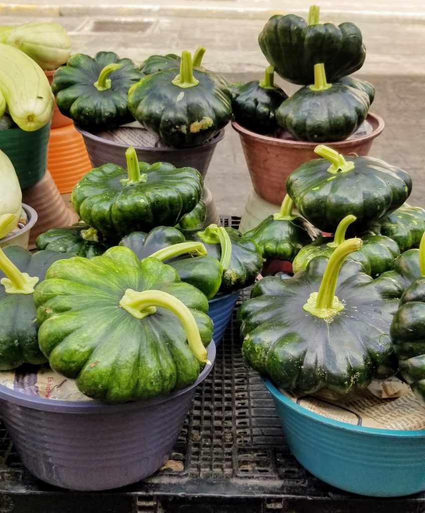 pumpkins are grown in the Yucatan