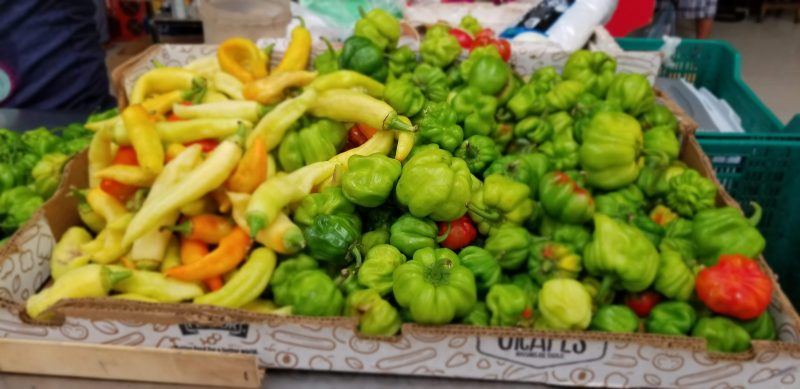 various locally grown chilies