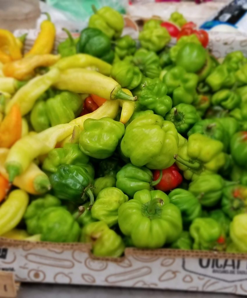 various locally grown chilies