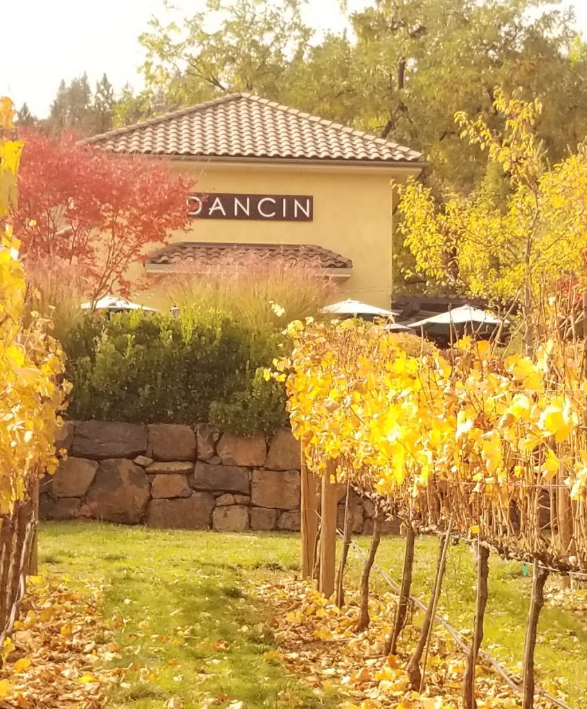 DANCIN Winery in the Fall
