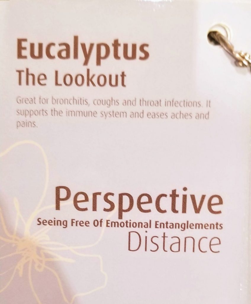 One of my scents and what it means