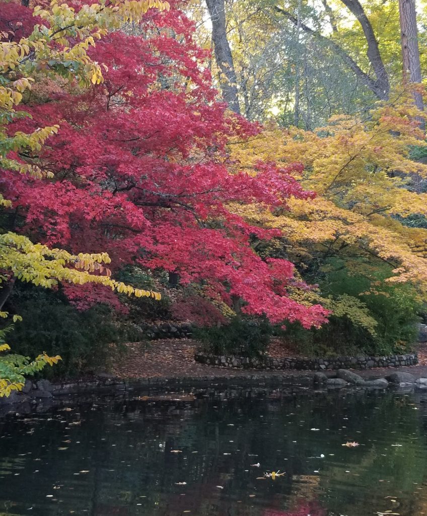 Japanese Garden in Lithia Park