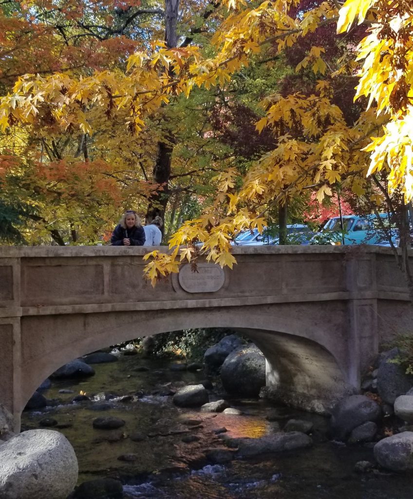 Bridge in Lithia Park