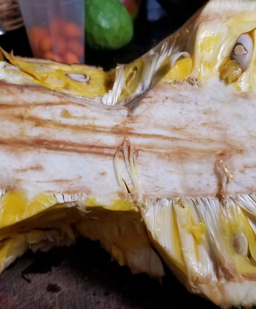 Jackfruit cut in half