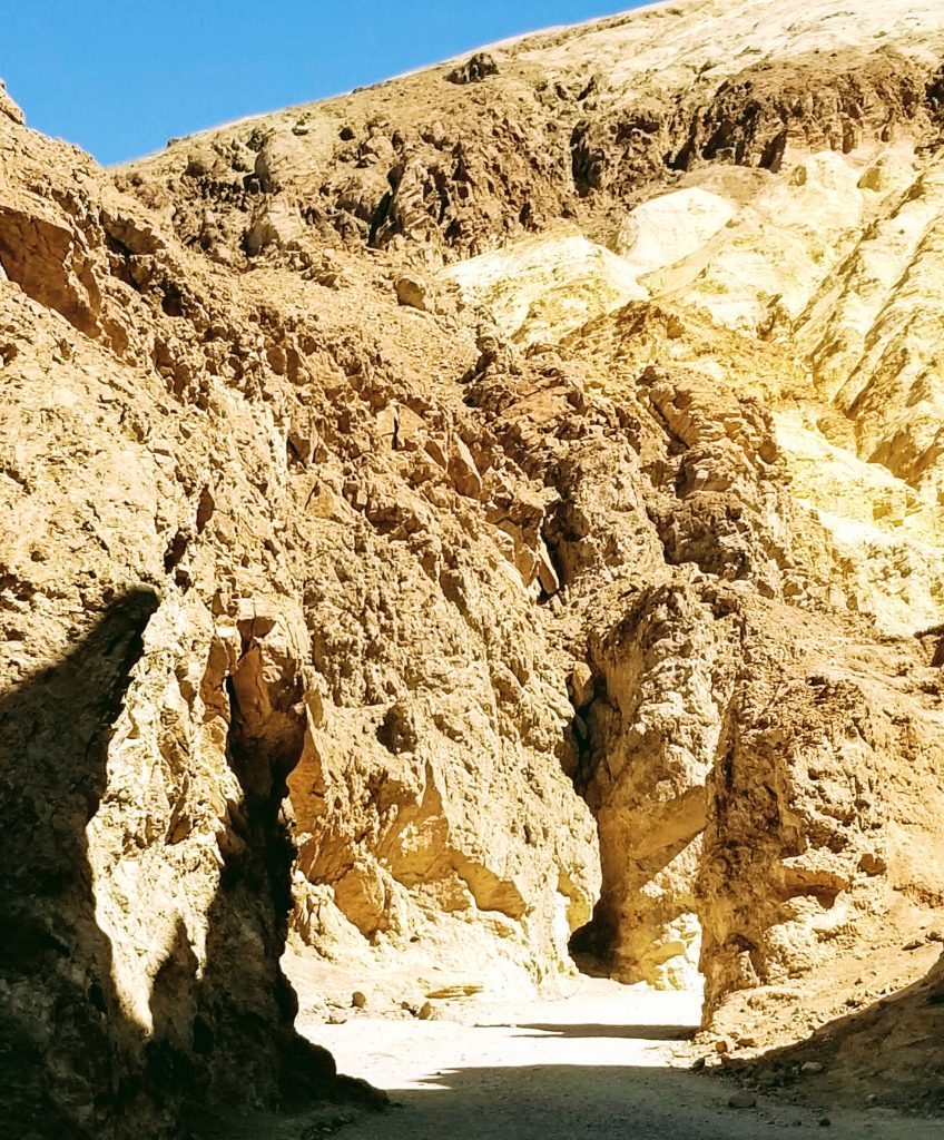 Golden Trail