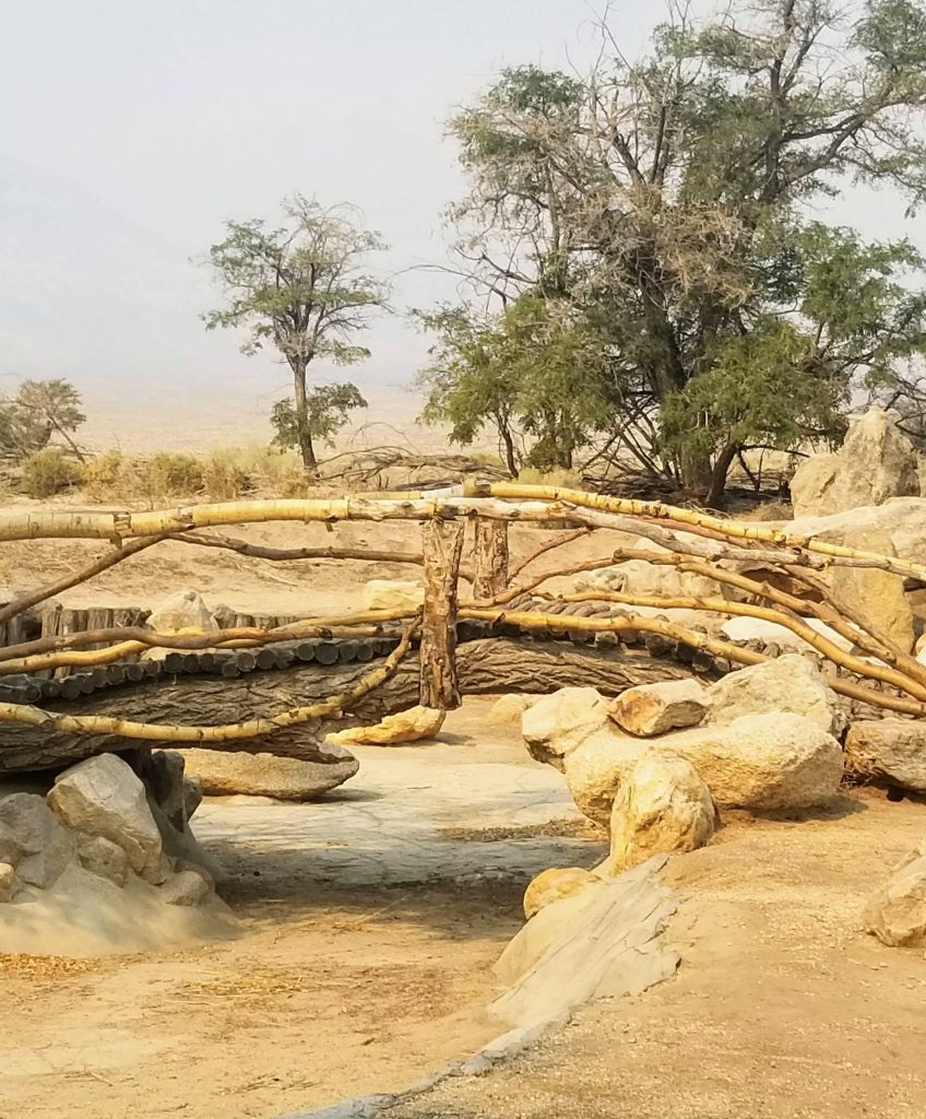 Log bridge in Pleasure Park