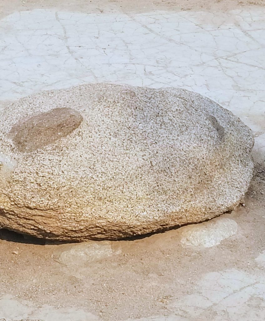 Rock turtle in the pond- signifying longevity
