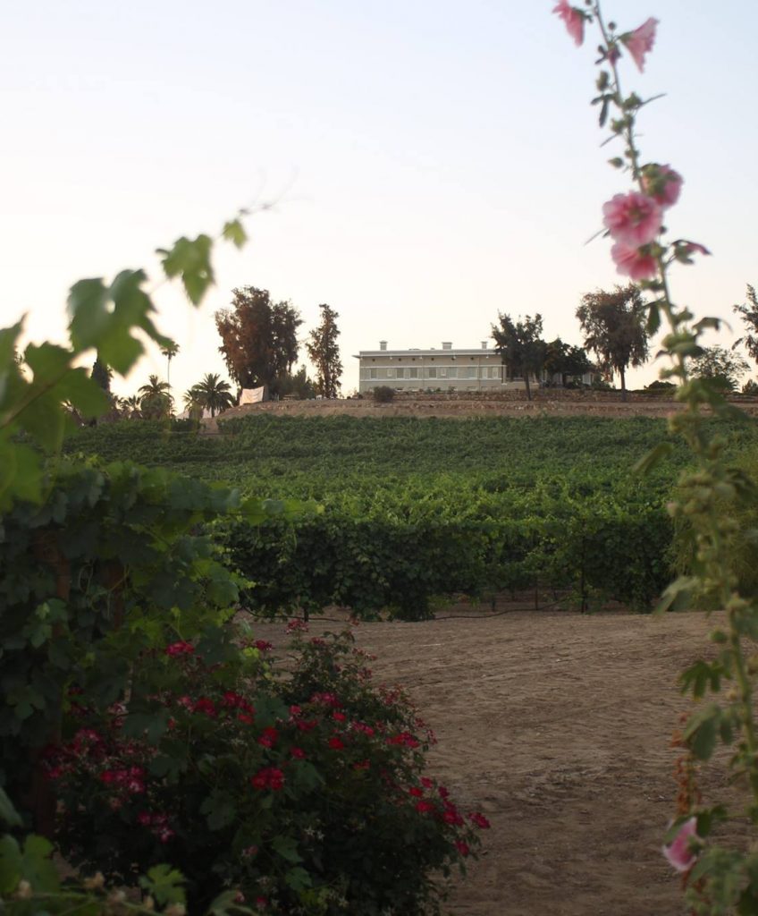 Tranquil Heart Winery, Hemet CA
