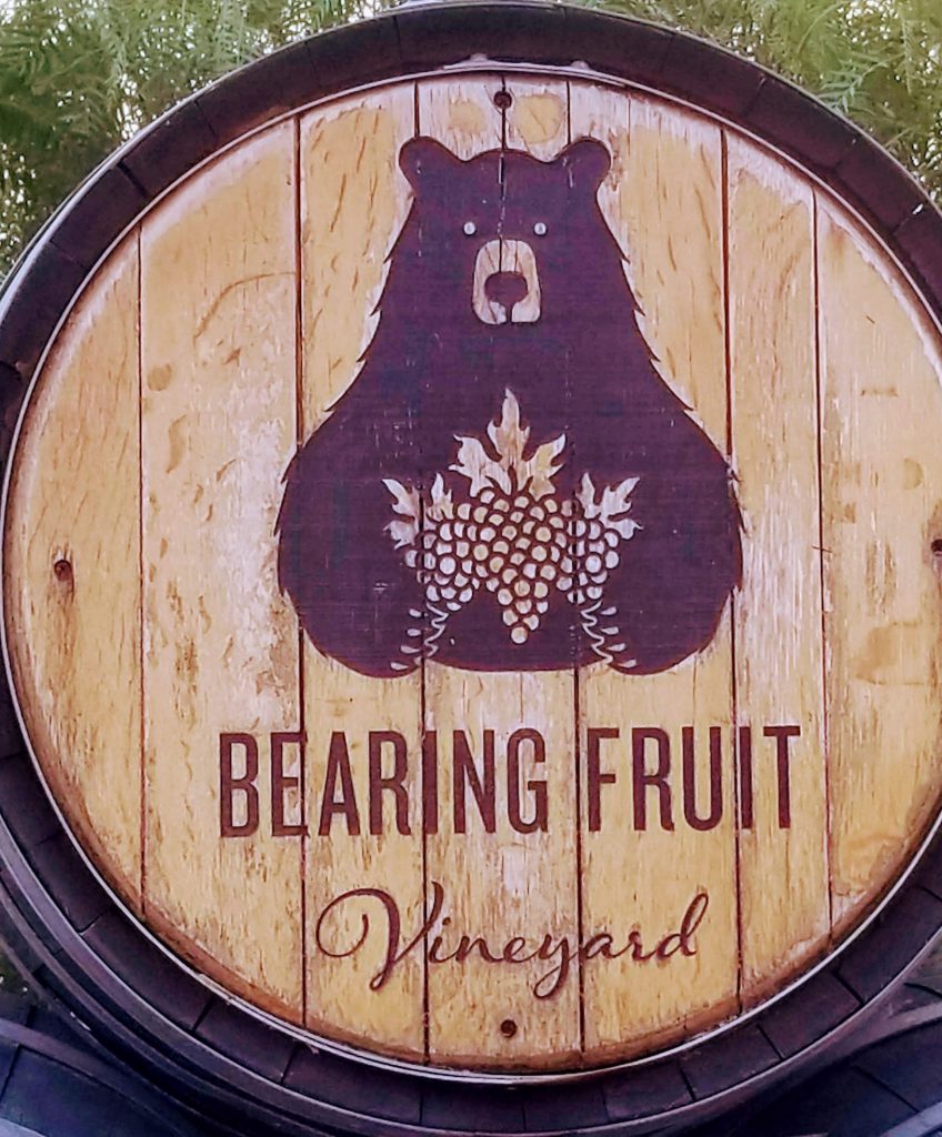 Bearing Fruit Vineyard