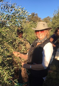 Martha Barra Picking Olives