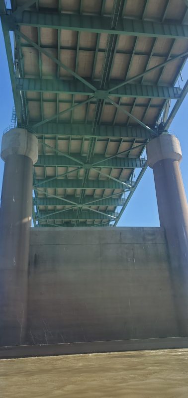 gliding under the bridge