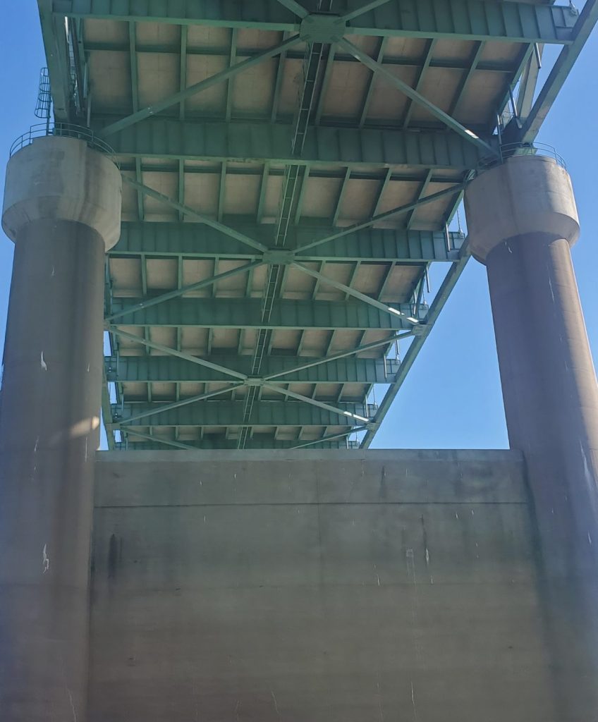 gliding under the bridge
